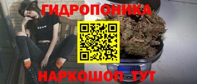 гидропоника Азнакаево