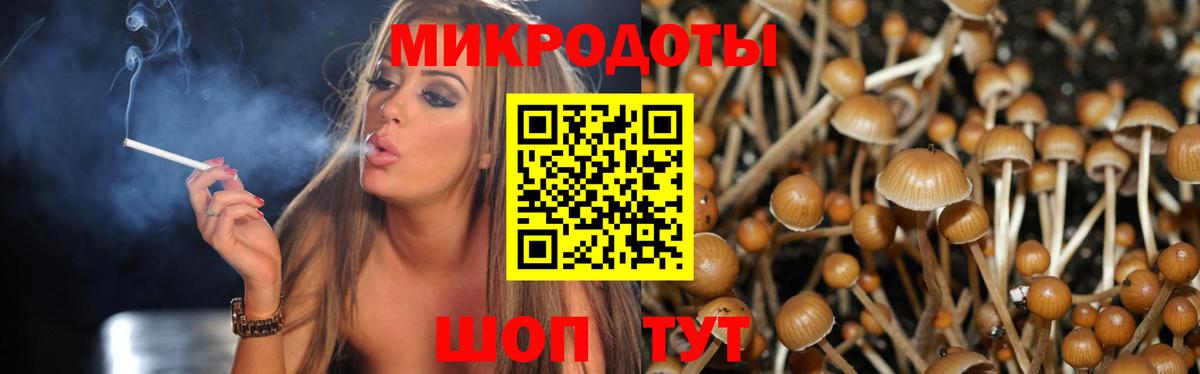 Алушта  Псилоцибиновые грибы ЛСД  Вход с VPN  Псилоцибиновые грибы ЛСД 