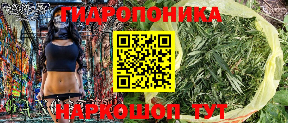 Марихуана сатива  Конопля Amnesia  Вход с VPN  Бошки марихуана сатива  Каннабис OG Kush  Алушта 